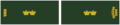 Thumbnail for version as of 15:21, 2 February 2020