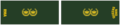 Thumbnail for version as of 15:21, 2 February 2020