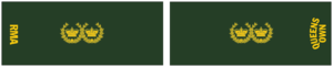 RMA CWU EP WO4.png