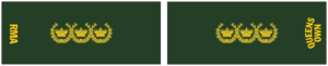 RMA CWU EP WO5.png
