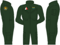 Thumbnail for version as of 08:08, 29 February 2020