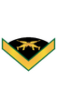 RMMC E4 Gunny.png