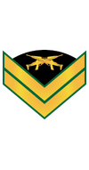 RMMC E5 Gunny.png
