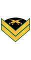 RMMC E5 Gunny.png