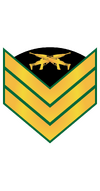 RMMC E6 Gunny.png