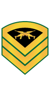 RMMC E7 Gunny.png