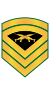 RMMC E8 Gunny.png