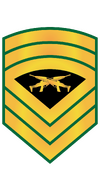 RMMC E9 Gunny.png