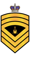 RMN E10 Bosun Rank.png