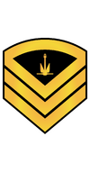 RMN E7 Bosun Rank.png