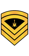 RMN E8 Bosun Rank.png