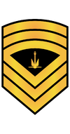 RMN E9 Bosun Rank.png