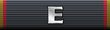 RMN FEA silver E.png