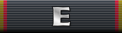 RMN FEA silver E.png