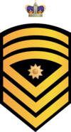 RMN FSMCPO.png
