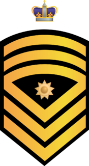 RMN FSMCPO.png
