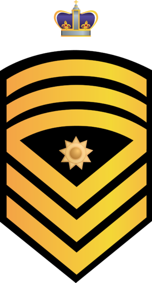 RMN FSMCPO.png