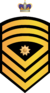 RMN FSMCPO.png