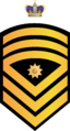 RMN FSMCPO.png