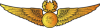 RMN Master Observer Wings Officer.png