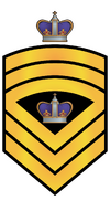 RMN SMCPON.png