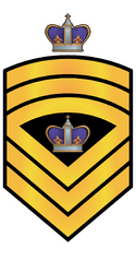 RMN SMCPON.png