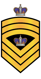 RMN SMCPON.png