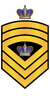 RMN SMCPON.png