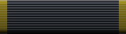 RMN SSDR.png