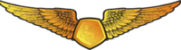 RMN Simulator Wings Officer.png