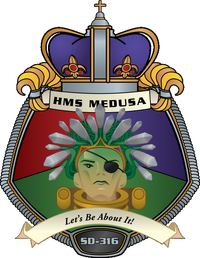 SD316Crest.png