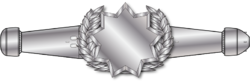 SWP-Enlisted 1.png