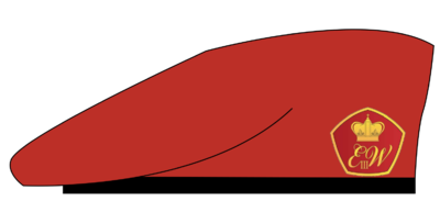 TQO BERET.png