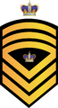 Thumbnail for version as of 16:58, 2 July 2015